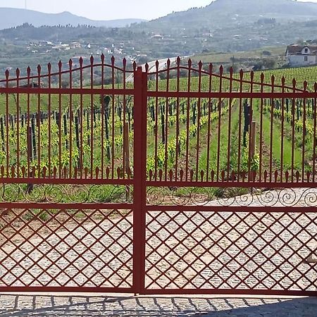 Quinta Do Passadico Villa Lamego Ngoại thất bức ảnh