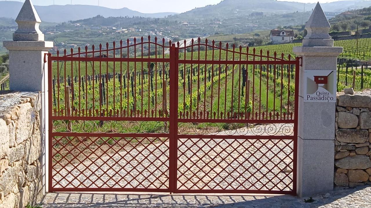 Quinta Do Passadico Villa Lamego Ngoại thất bức ảnh